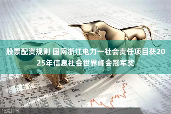 股票配资规则 国网浙江电力一社会责任项目获2025年信息社会世界峰会冠军奖