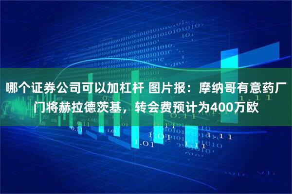 哪个证券公司可以加杠杆 图片报：摩纳哥有意药厂门将赫拉德茨基，转会费预计为400万欧